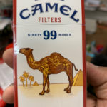 Camel 99