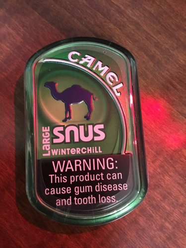 Camel: SNUS WINTERCHILL .32oz (9g) - 4Noggins.com