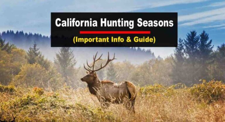 california-hunting-license-2023-altaville-market-angels-camp-ca